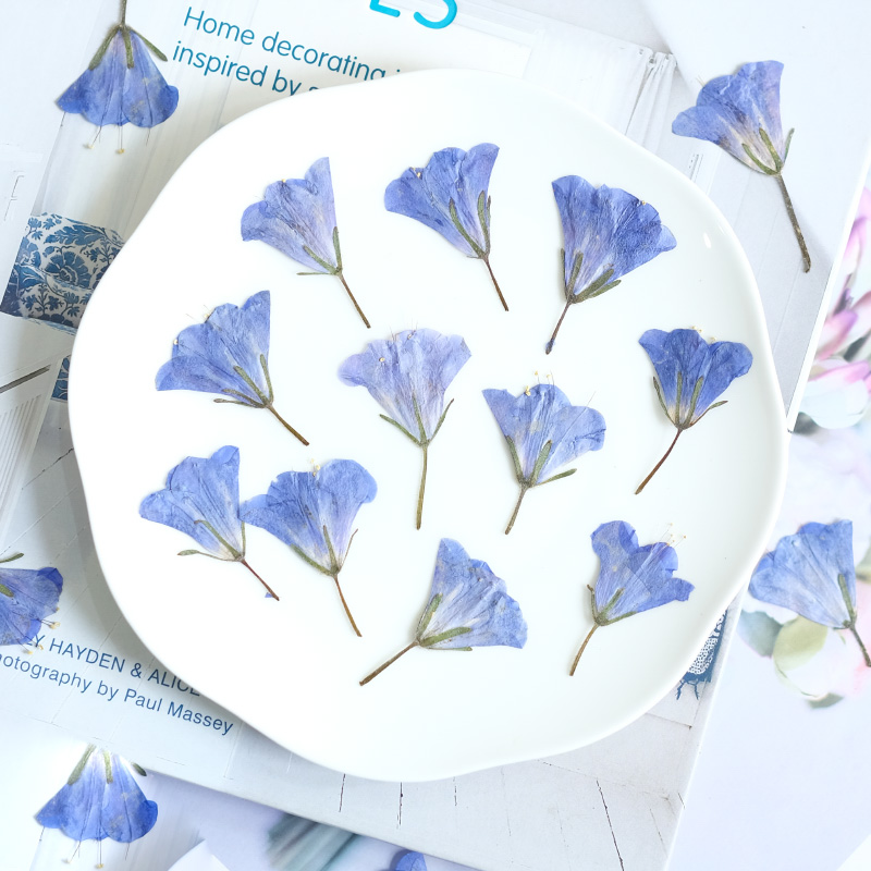 12pcs/3-5cm, Bunga Bluebell Al - Beauty Makeup Bridal ulasan dan harga